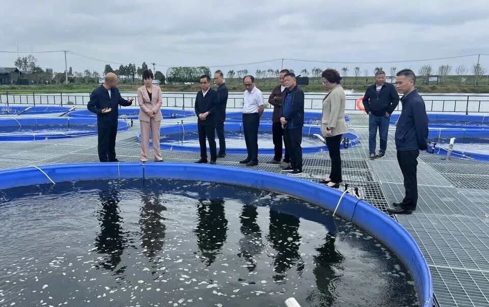 区委书记雷欣深入调研我公司水基设施渔业与六门闸风干鱼科技园项目