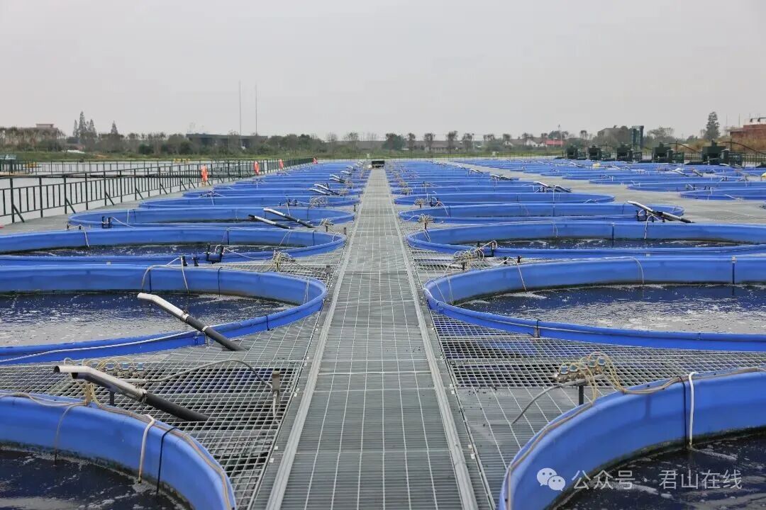 改革新篇② | 君山渔业集团：驱动智慧渔业变革，打造全国数字渔业新标杆