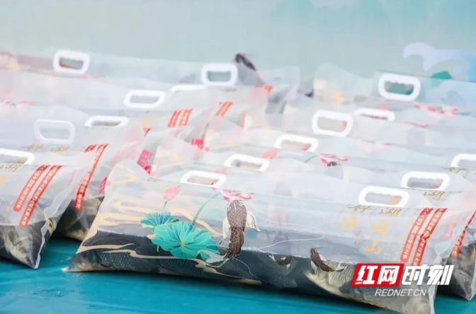 【时刻新闻报道】“科里科气”的渔业①|从头到尾充满“智慧”的鱼