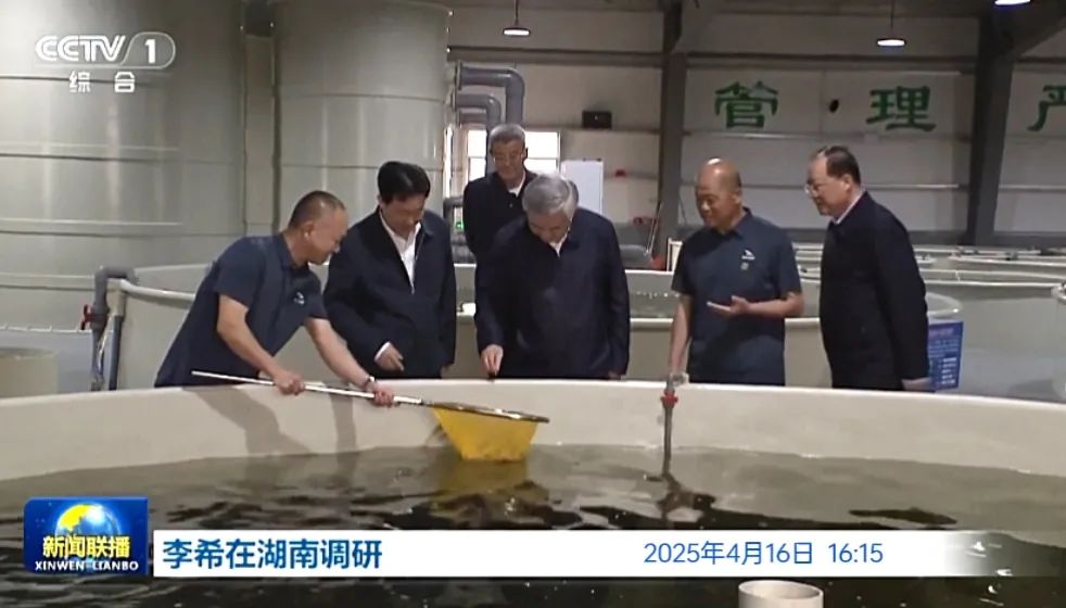 中共中央政治局常委、中央纪委书记李希到我公司采桑湖水产养殖基地调研