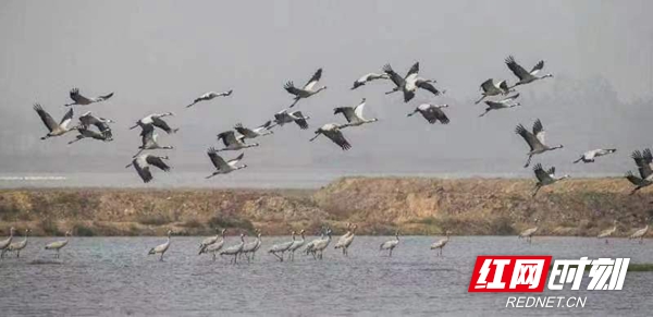 微信图片_20230531210129.jpg 微信图片_20230531210129.jpg