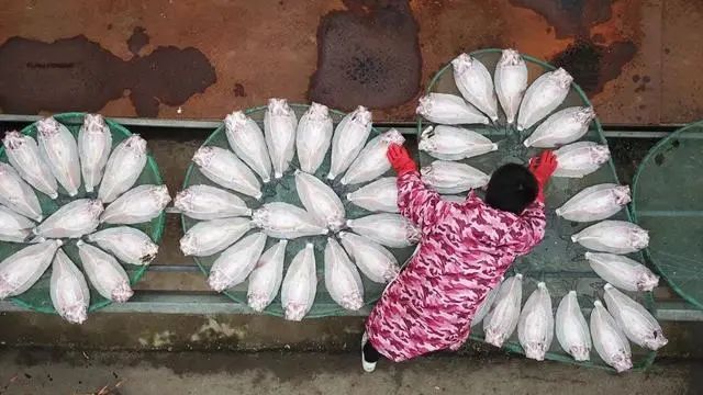 “中国风干鱼之乡”君山区:年产10万吨风干鱼,产值超5亿元