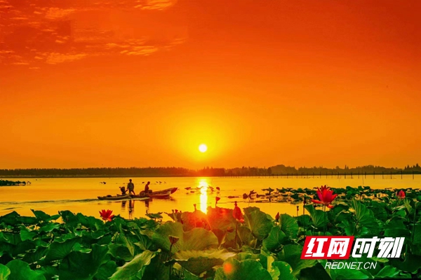 微信图片_20230531210120.jpg 微信图片_20230531210120.jpg