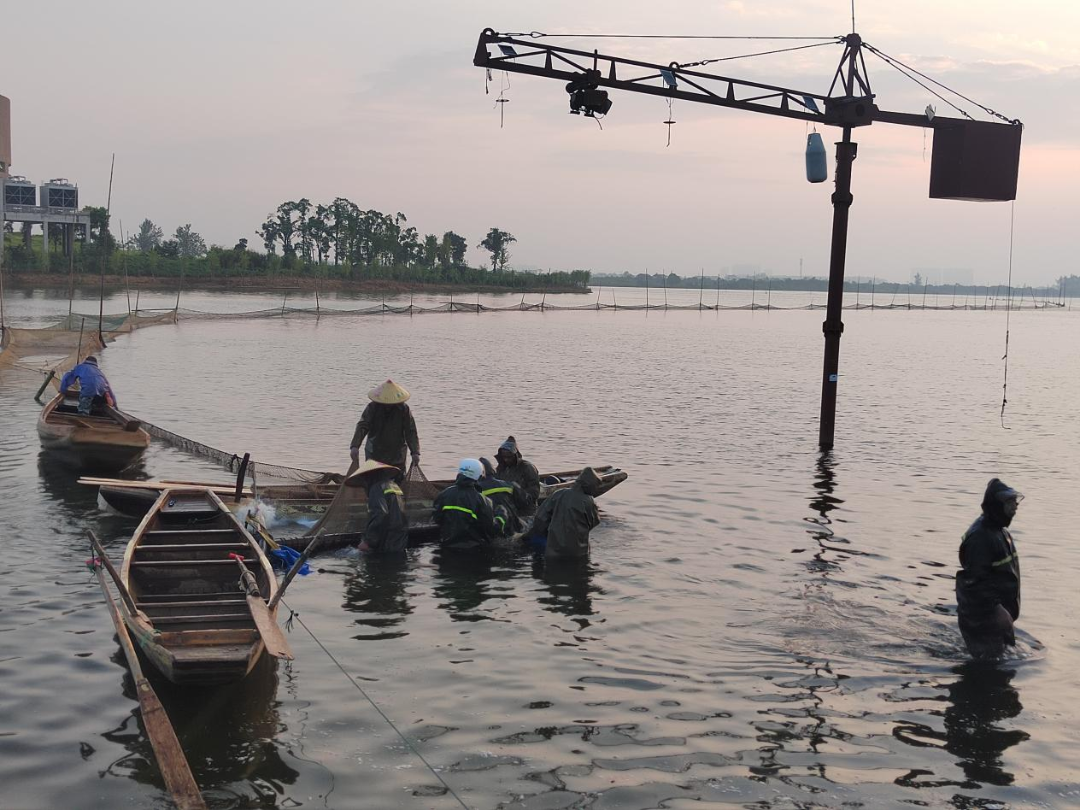 起鱼啦!濠河渔场迎来热水鱼捕鱼季