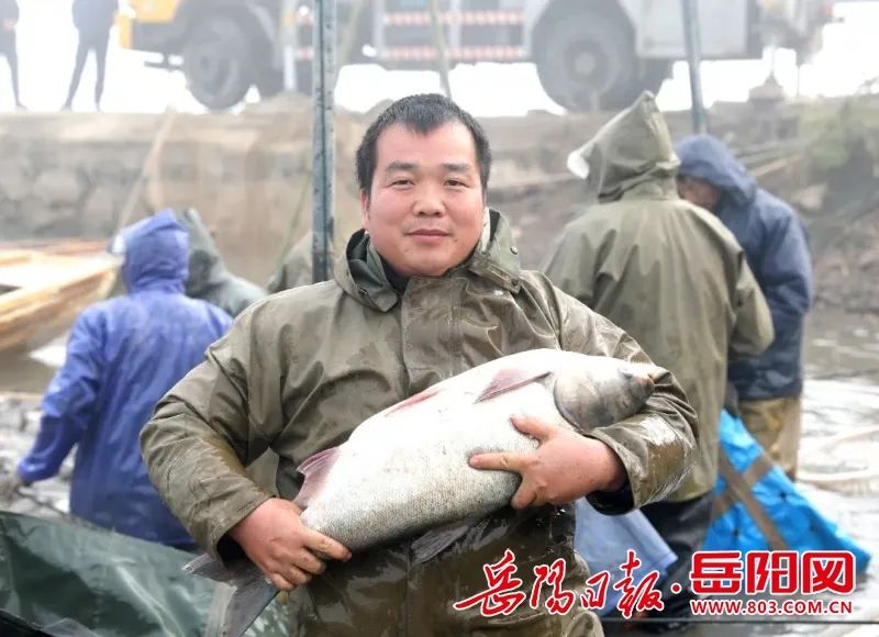 岳阳日报报道我公司高质量发展:摘“国字号”名片 添“鱼跃”动力