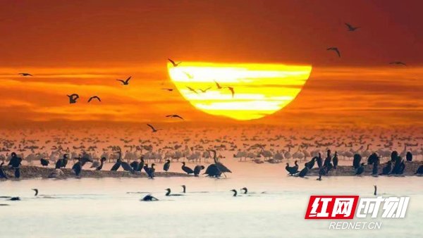 微信图片_20230531210115.jpg 微信图片_20230531210115.jpg