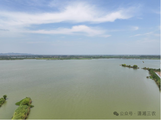 湖南省畜牧水产事务中心渔业发展部推介我公司大水面生态增养殖技术模式